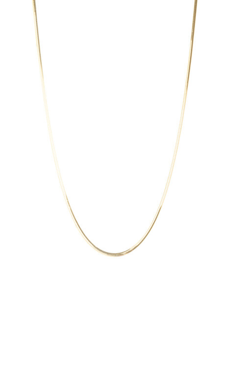 BALIK SIRTI ZİNCİR